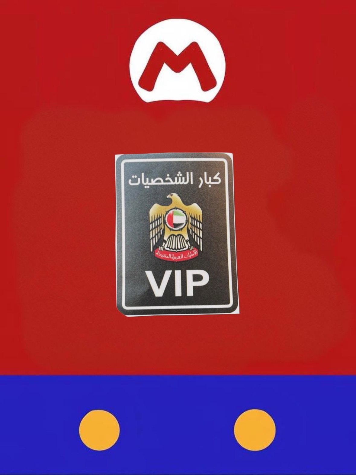 8f2ab687-f934-4224-a3cc-d232c262ab3f ملصق كبار شخصيات VIP - Image 1